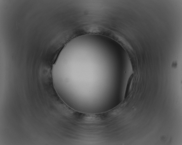 X0000093090521200710101520