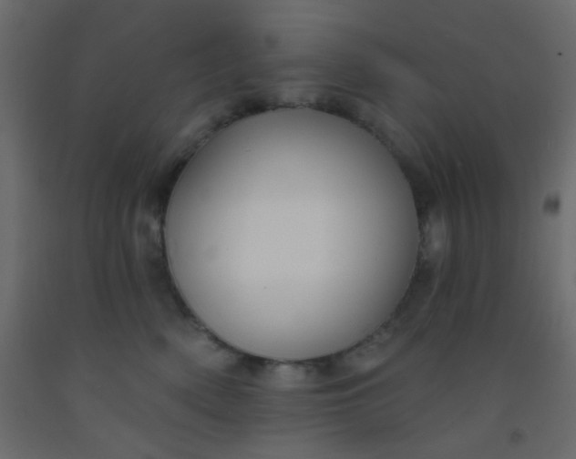 X0000093090522200710101520