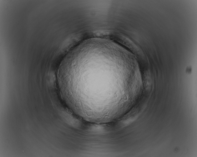 X0000093090523200710101520