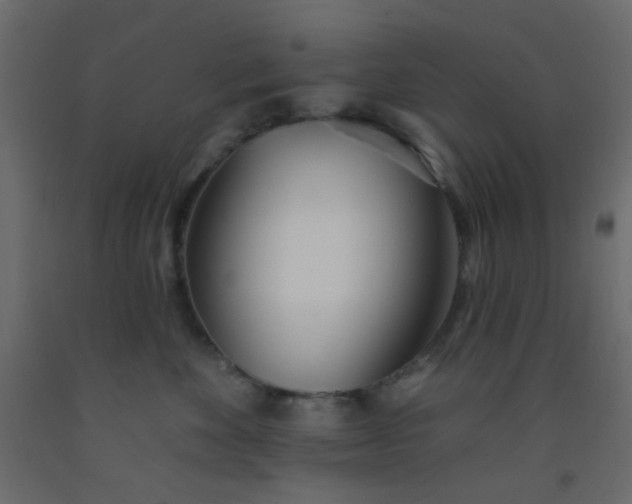 X0000093090524200710101520