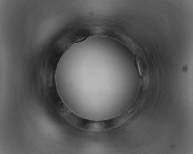 X0000093090525200710101520