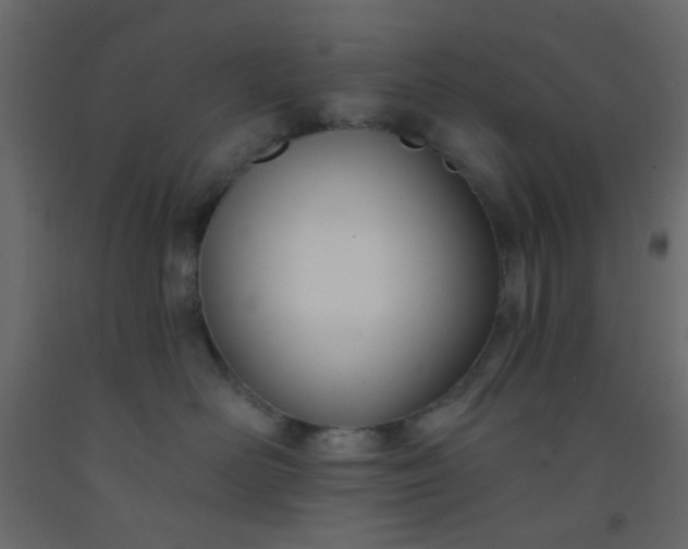 X0000093090526200710101520