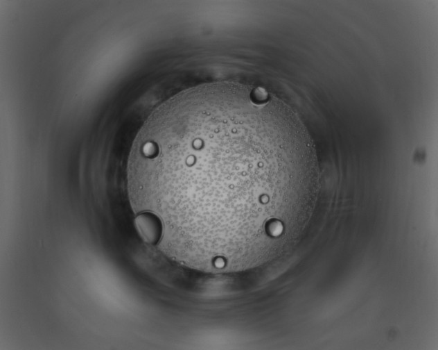 X0000093090527200710101519