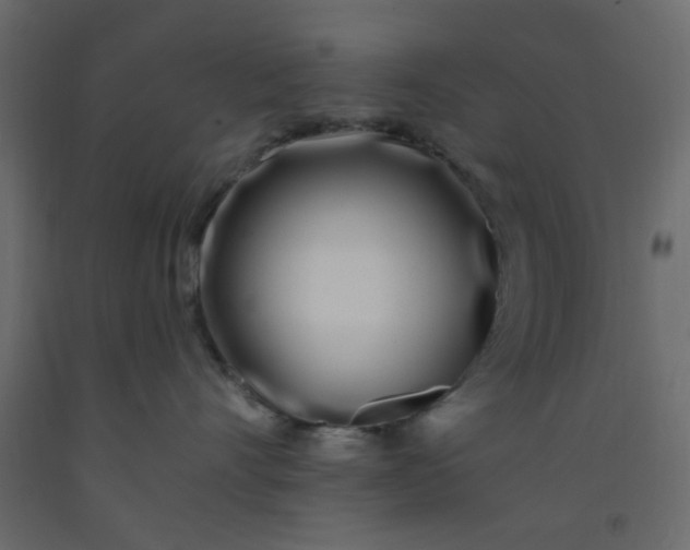 X0000093090528200710101519