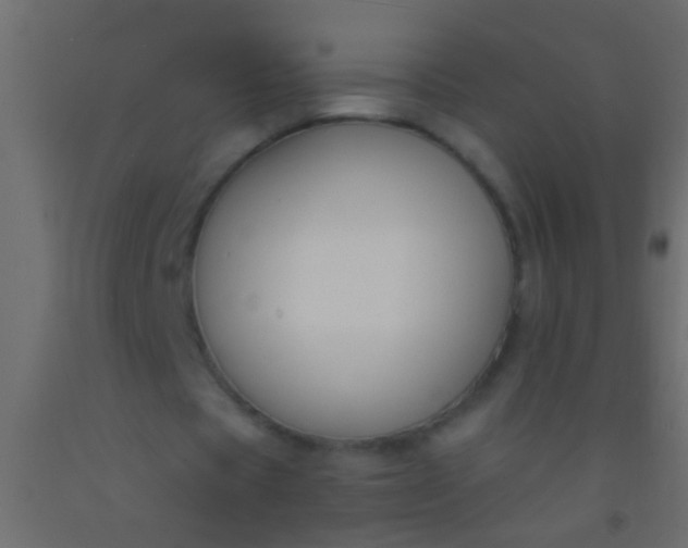 X0000093090529200710101519