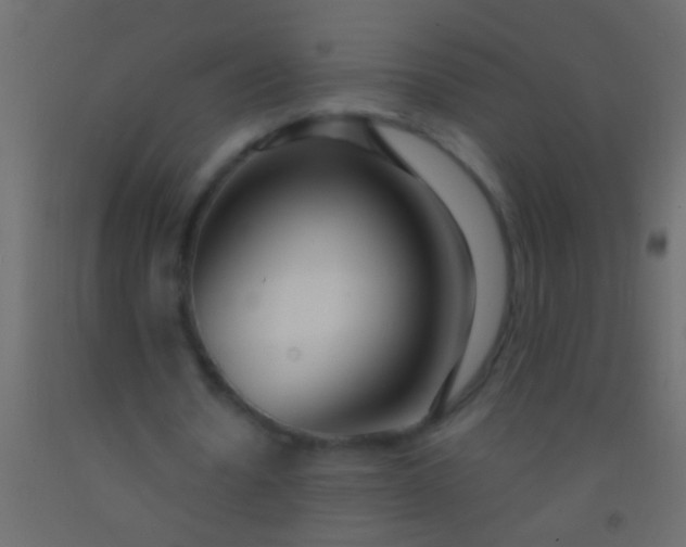 X0000093090530200710101519