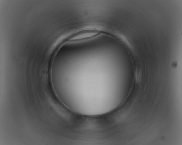 X0000093090531200710101519