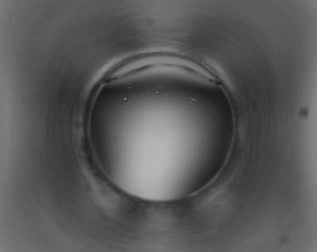 X0000093090532200710101519