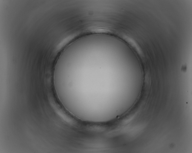 X0000093090533200710101519