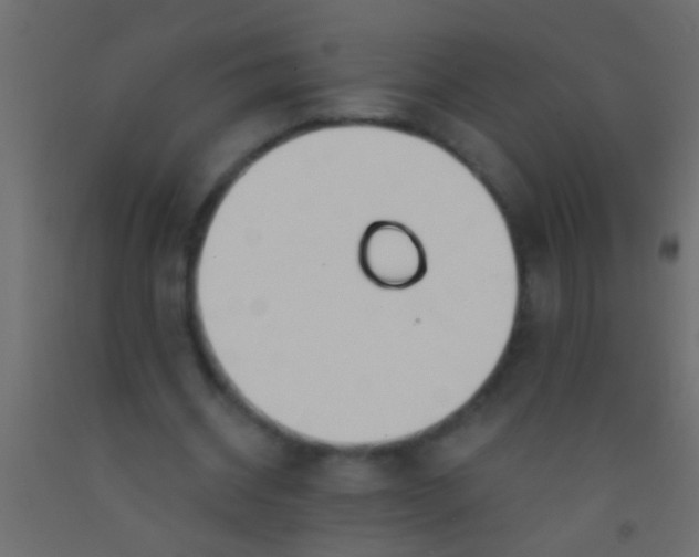 X0000093090534200710101519