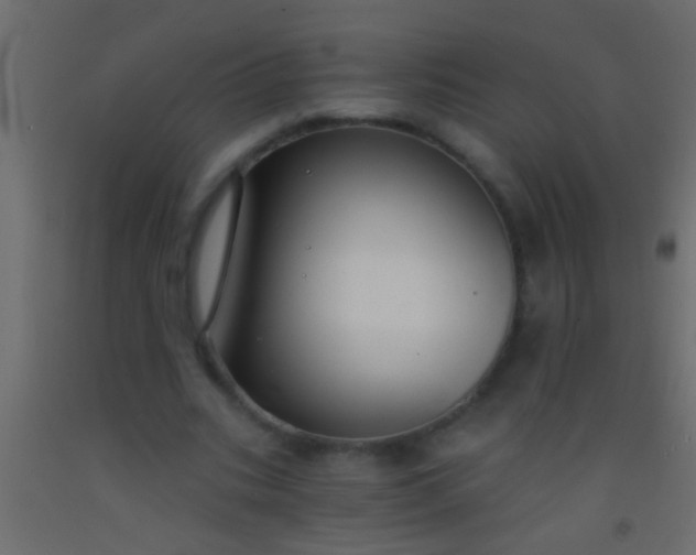 X0000093090535200710101519