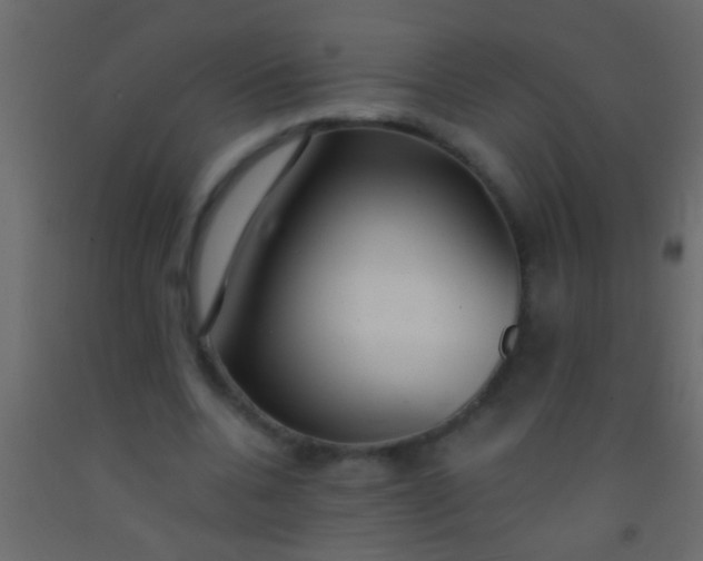 X0000093090536200710101519