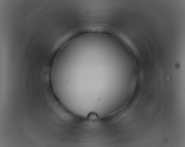 X0000093090537200710101519