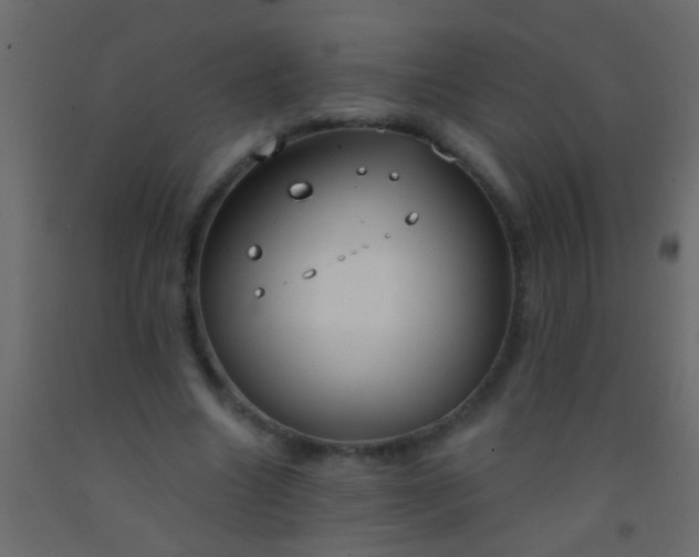 X0000093090538200710101519