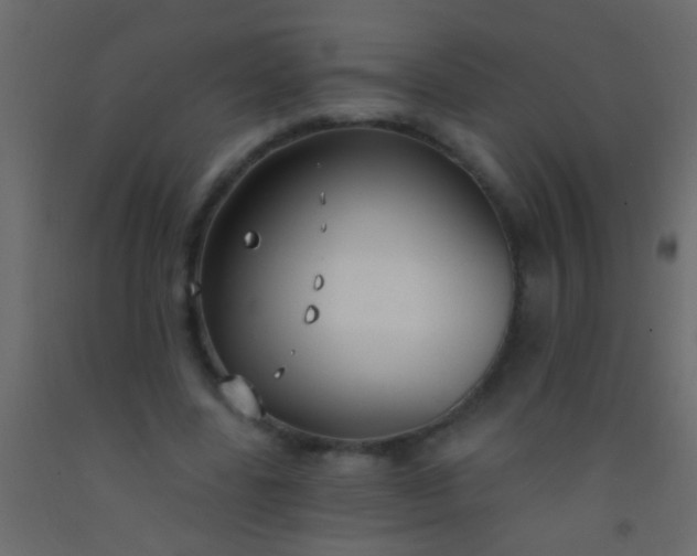 X0000093090539200710101519