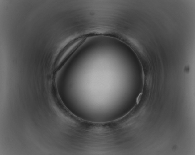 X0000093090540200710101519