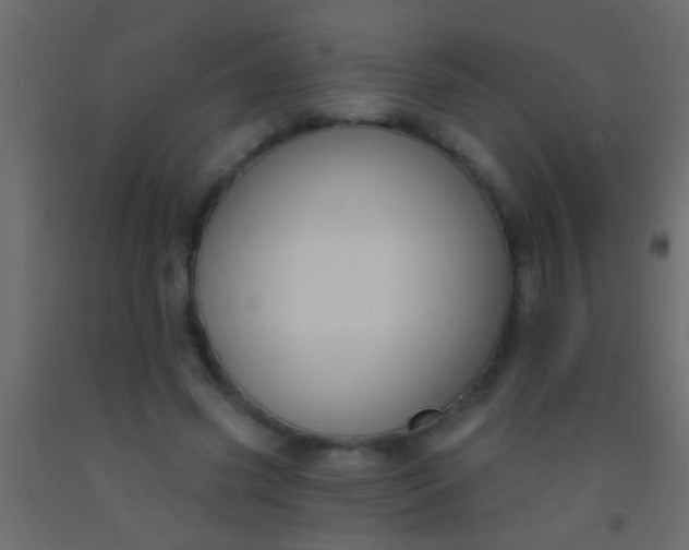 X0000093090541200710101519