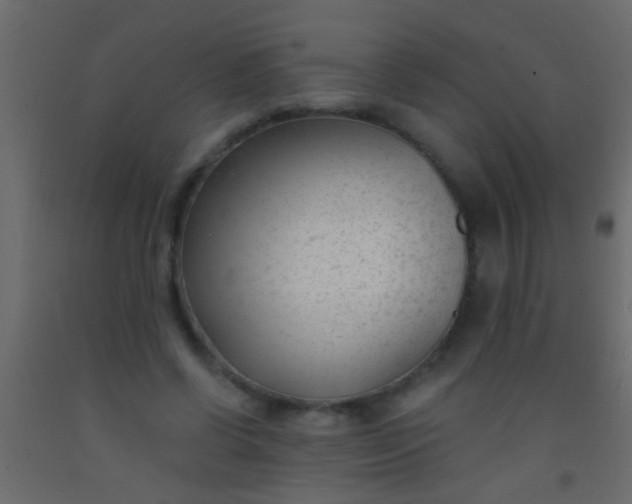 X0000093090542200710101519