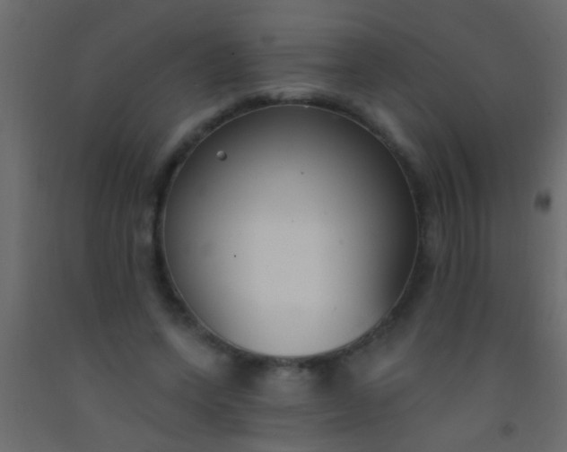 X0000093090543200710101519