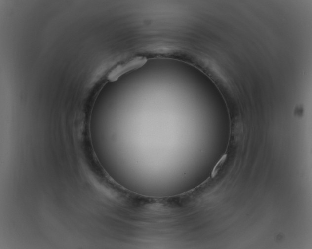 X0000093090544200710101519