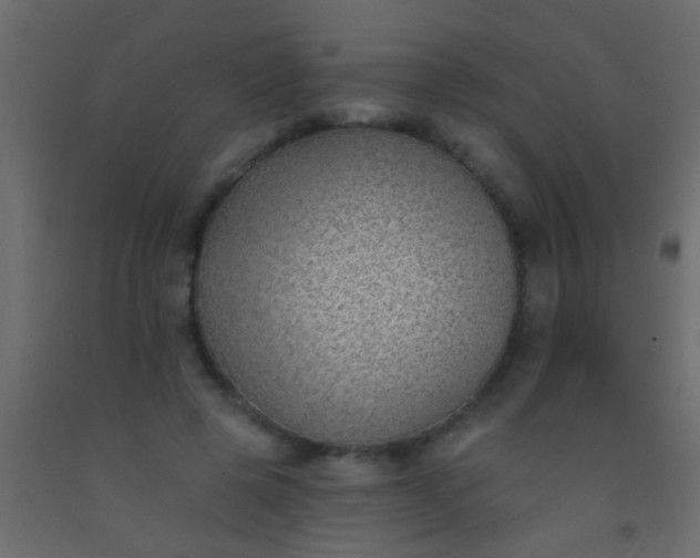 X0000093090545200710101519