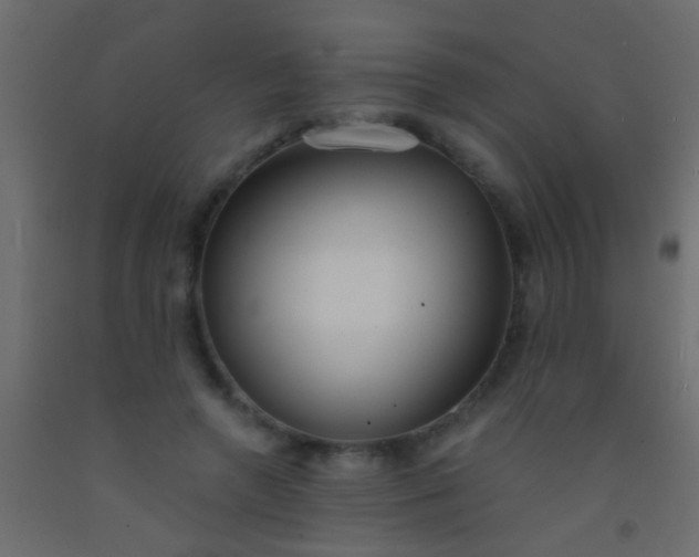 X0000093090546200710101519