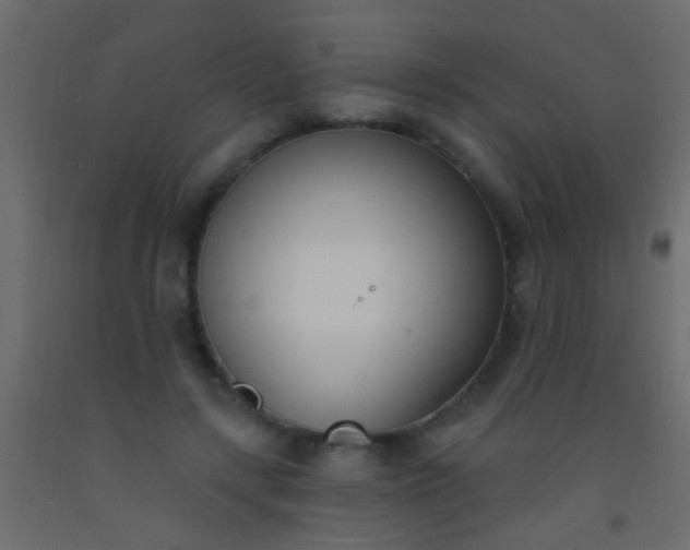 X0000093090547200710101519