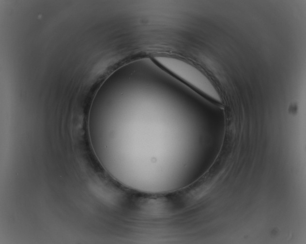 X0000093090548200710101519