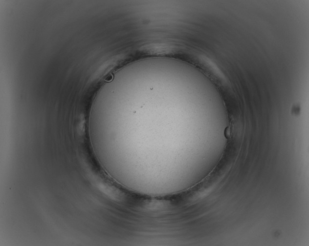 X0000093090549200710101519