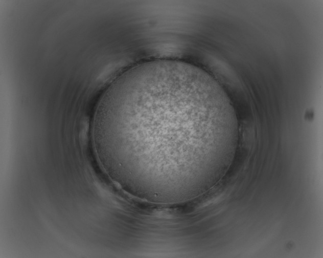 X0000093090550200710101519