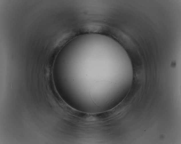 X0000093090551200710101519