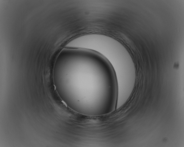 X0000093090552200710101519