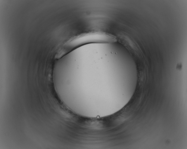 X0000093090553200710101519