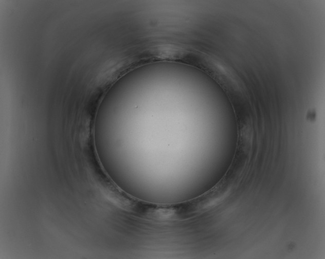 X0000093090554200710101519