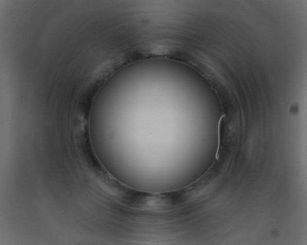 X0000093090555200710101519