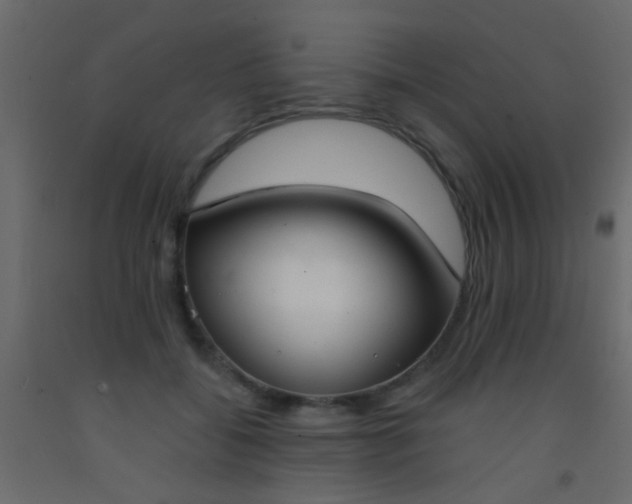 X0000093090556200710101519