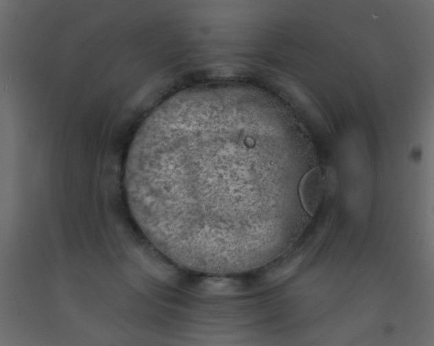 X0000093090557200710101519