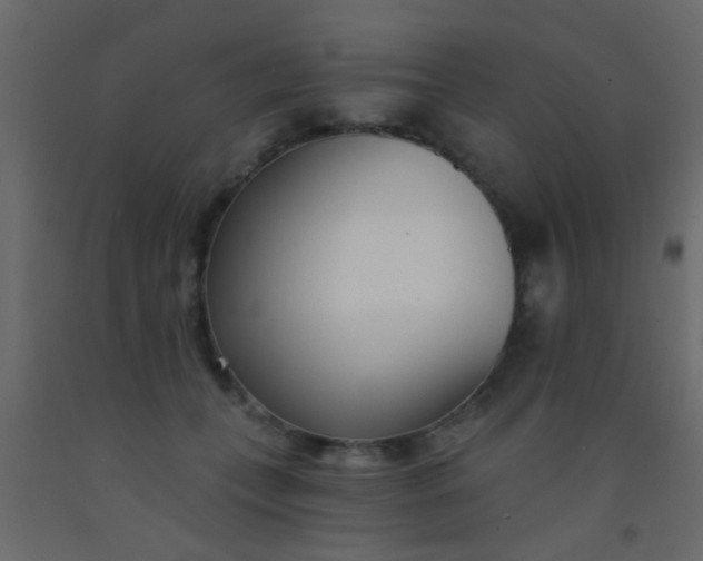 X0000093090559200710101519