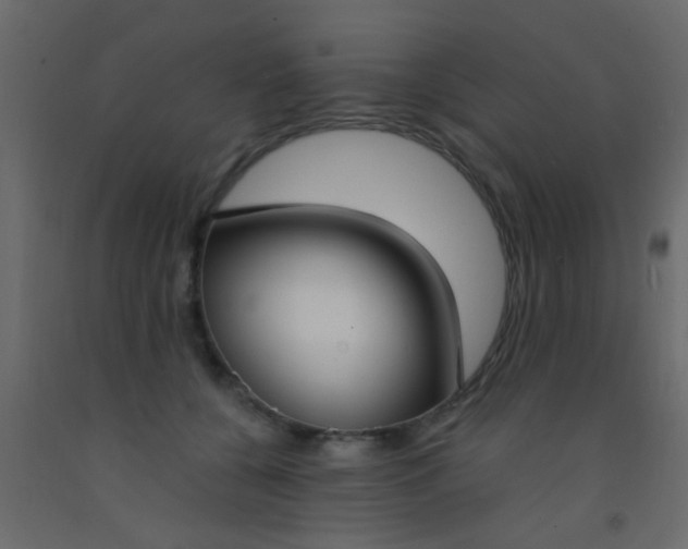 X0000093090560200710101519