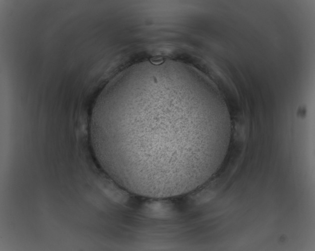 X0000093090561200710101519