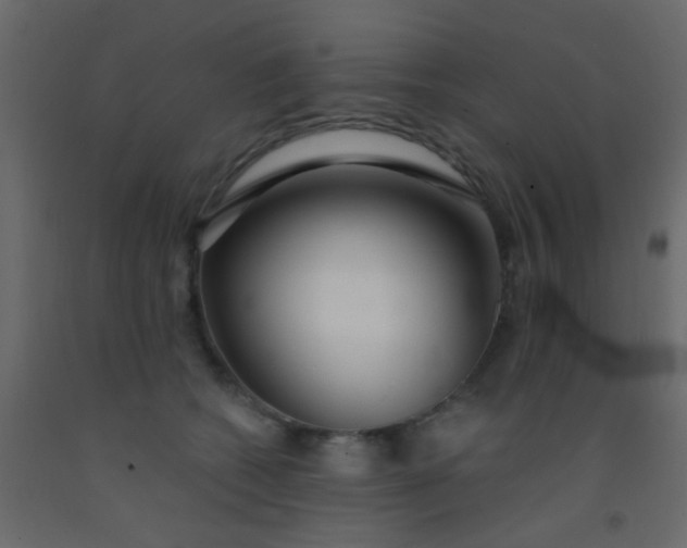 X0000093090562200710101519