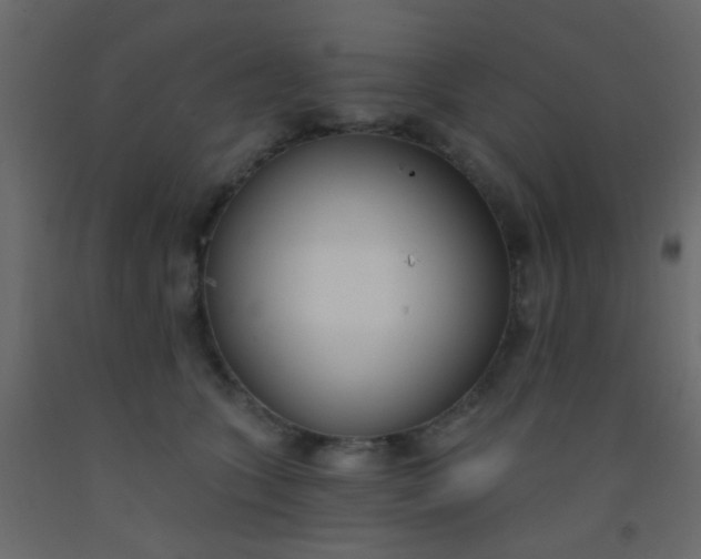 X0000093090563200710101519