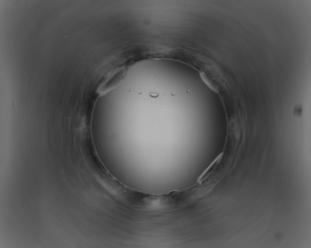 X0000093090564200710101519