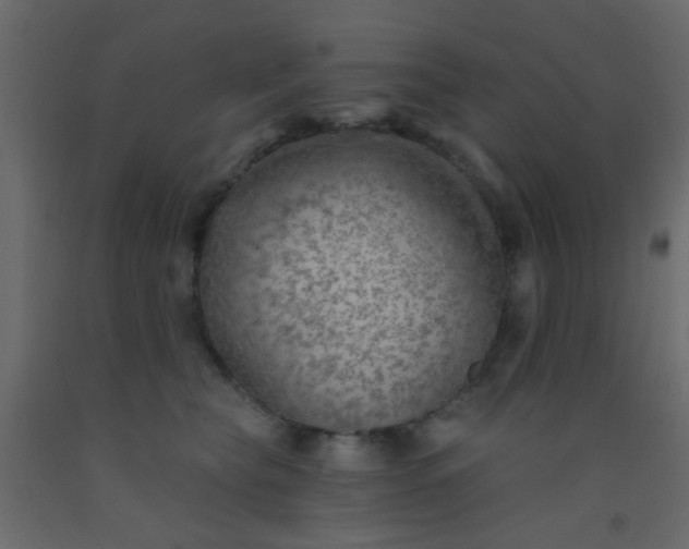 X0000093090565200710101519