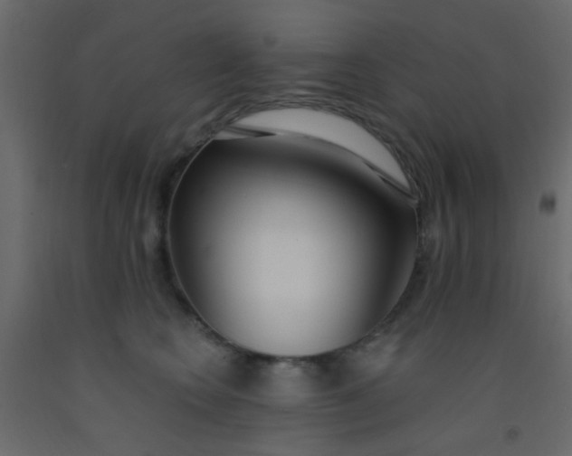 X0000093090566200710101519