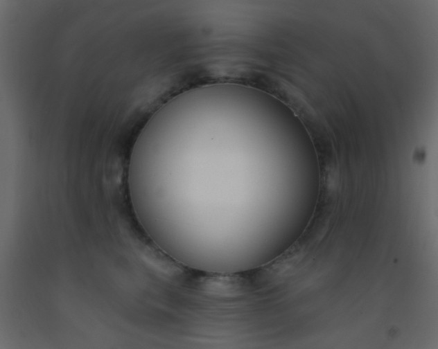 X0000093090567200710101519