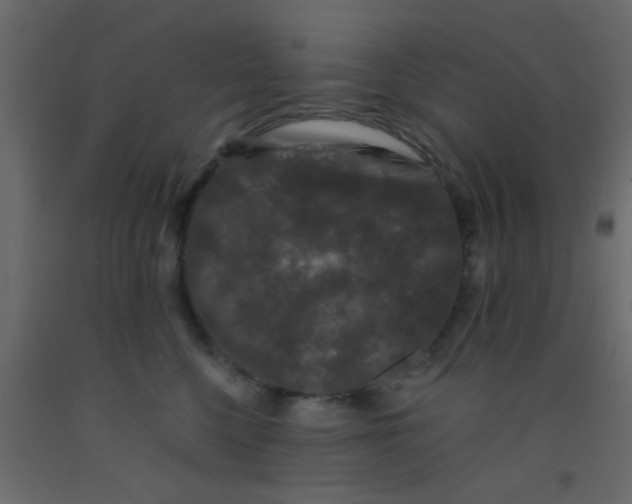 X0000093090568200710101519