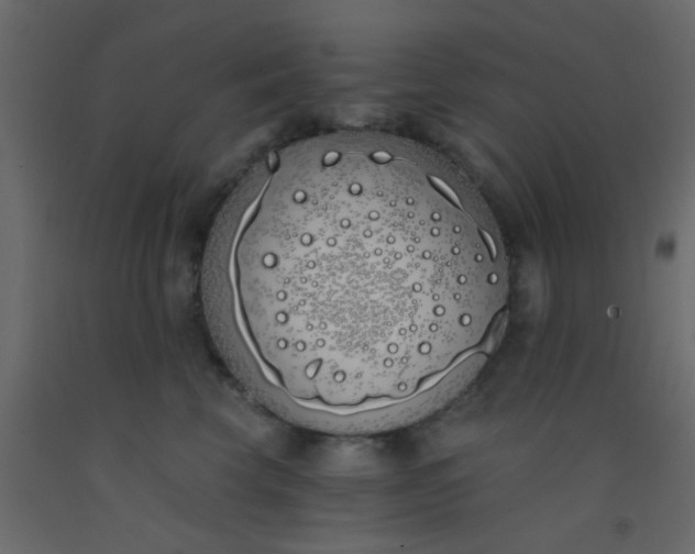 X0000093090569200710101519