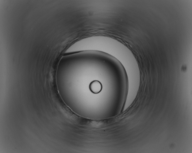 X0000093090570200710101519