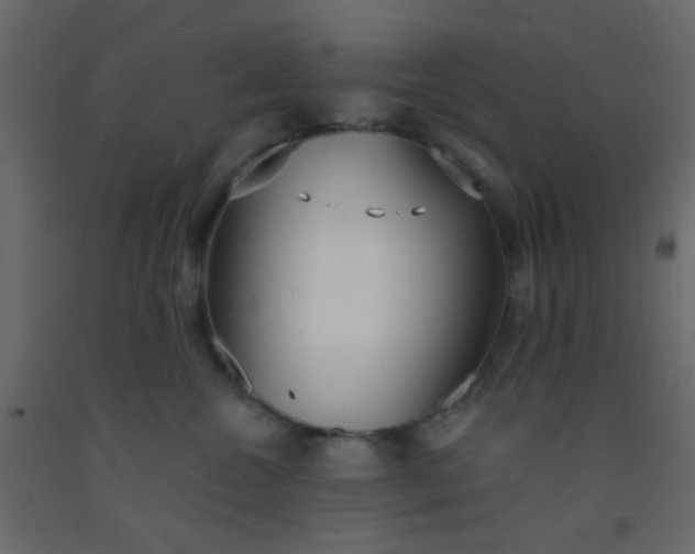 X0000093090572200710101519